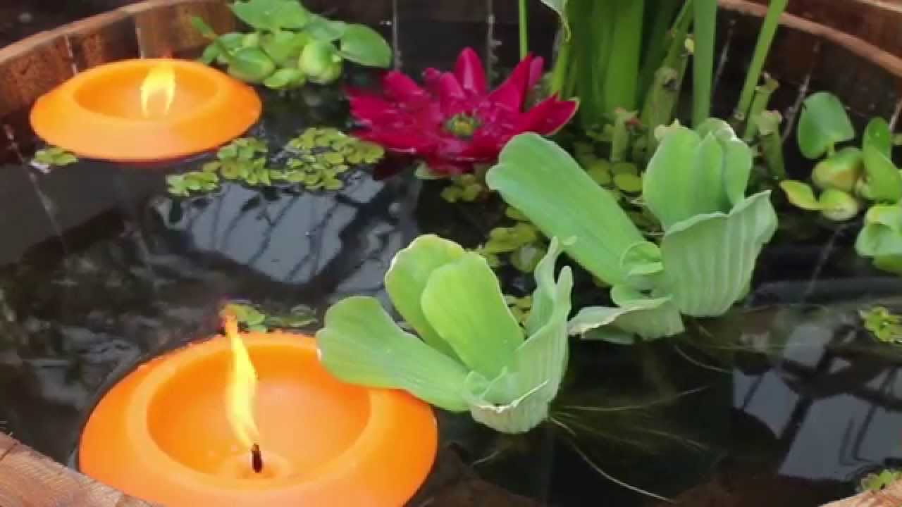 Mini Teiche Beleben Sie Balkon Und Terrasse Youtube