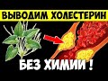 Не пейте статины - не посмотрев это видео. Холестерин сбежит от вас сам