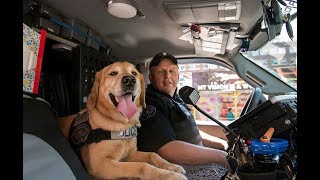 VIDEO: Cambridge Police K9 Rumba