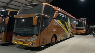 New Wonogiri SJM Sumber Jaya Makmur player bus ‼️