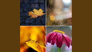 Scintillating Moods for Winter Creativity