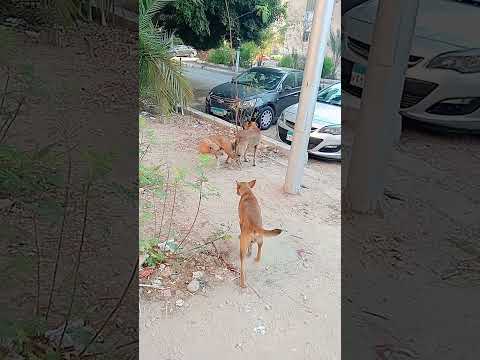 قلت لك بلاش هتتصور وانت ما سمعتش الكلام اكسبلور