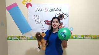 Los Sentidos: La Vista | Ciencia y Tecnología | 5 años