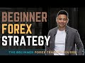 Lesson 9. Forex Trading for Beginners – The Passive Income Strategy