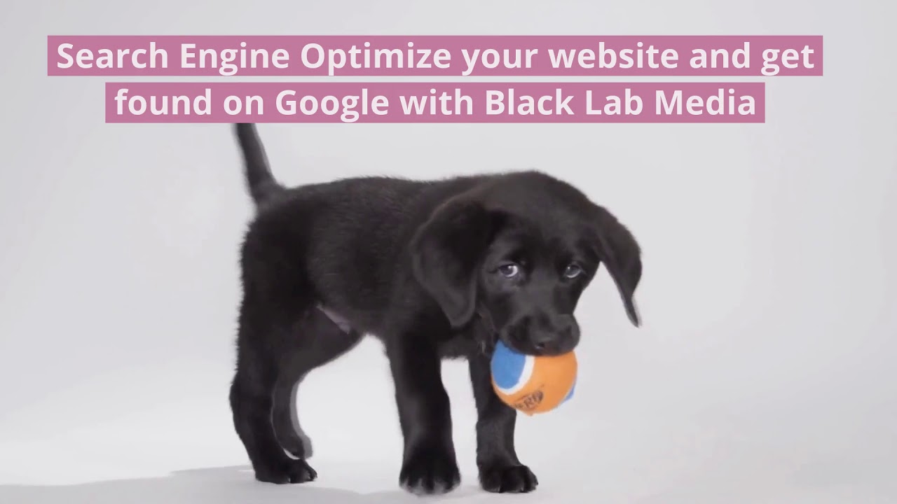 SEO Services NJ and Glasgow Scotland