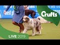 Crufts 2019 Day 3 - Part 1 LIVE