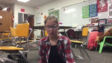 Integer Chips By Camdyn-Period 1-2019