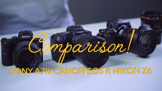 [PONDOK LENSA] Comparison Nikon Z6 vs Sony A7III vs Canon EOS R