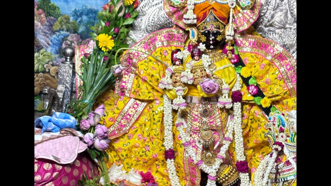 राधावल्लभ दर्शन वृंदावन live 