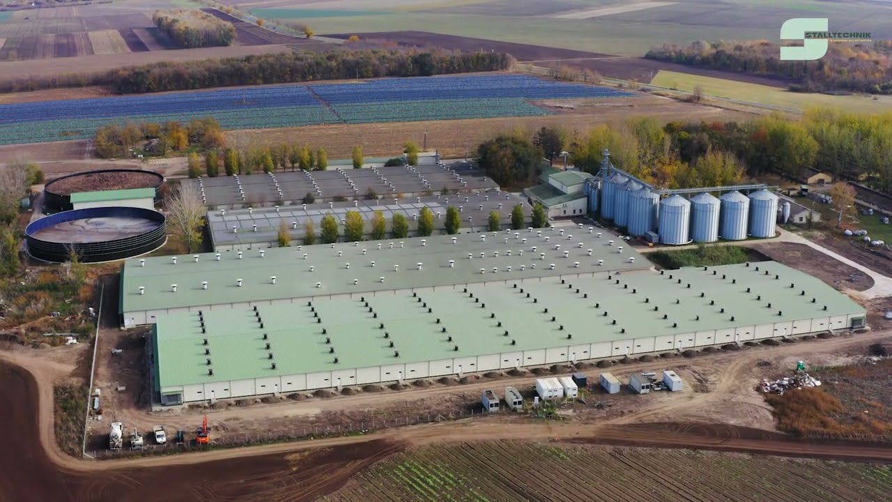 Stalltechnik-B Service Kft.  - 9000 férőhelyes hizlalda