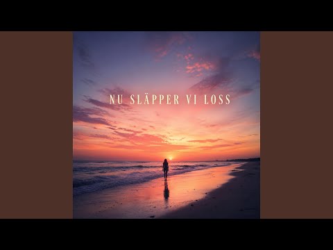 Nu Släpper Vi Loss