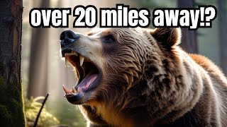 Top 7 Jaw-Dropping Grizzly Bear Facts!