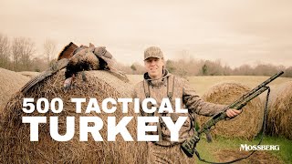 Tactical Turkey Shotgun