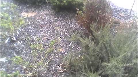 LG Optimus L9 Smartphone Review - Sample Video #2 (Front Camera)