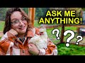 Your backyard chicken questions answered by a real educator