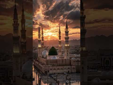 #اكسبلور #سوريا #لايك  الاستاذ داود شعبان فرقة المصطفى