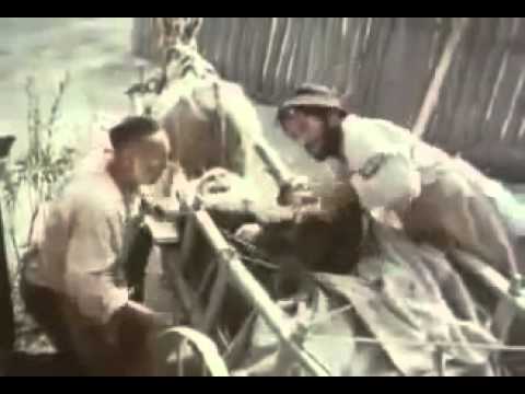 ნეტავ ვინ იყო ის შავი კაცი