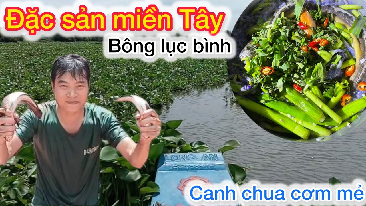 Ra Giữa Sông Hái Bông Lục Bình Bắt Cá Khủng Về Nấu Canh Chua Mẻ 