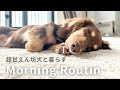20代同棲カップルと甘えん坊ダックスのモーニングルーティン