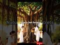 The Hidden Truth of Peepal Tree 🌳 | Science vs Belief #shorts #facts #viral #didyouknow