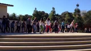Halloween Thriller Flash Mob @ Stanford