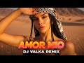 Amor Mio Dj Valka Remix