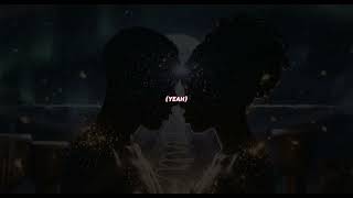 Solpulse Tonight Lyric Visualizer