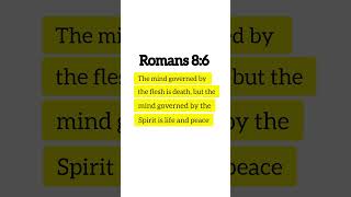 🌟 Guidance of Jesus | Daily Bible Verses, Christian Motivation &amp; Faith Inspiration 🌟