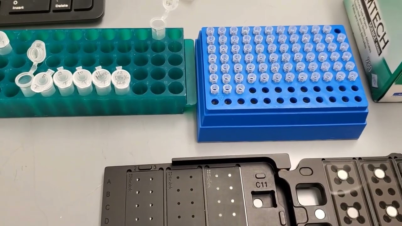 cDNA synthesis Tutorial
