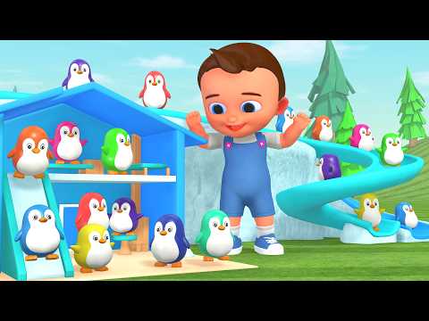 Learn Colors with Baby Penguin Wooden Play House Slider | Fun Learning Video for Kids Educational