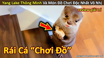 Rái Cá đáng yêu bảo vệ món đồ yêu thích bằng cả sinh mạng cực thú vị || Review Giải Trí Đời Sống