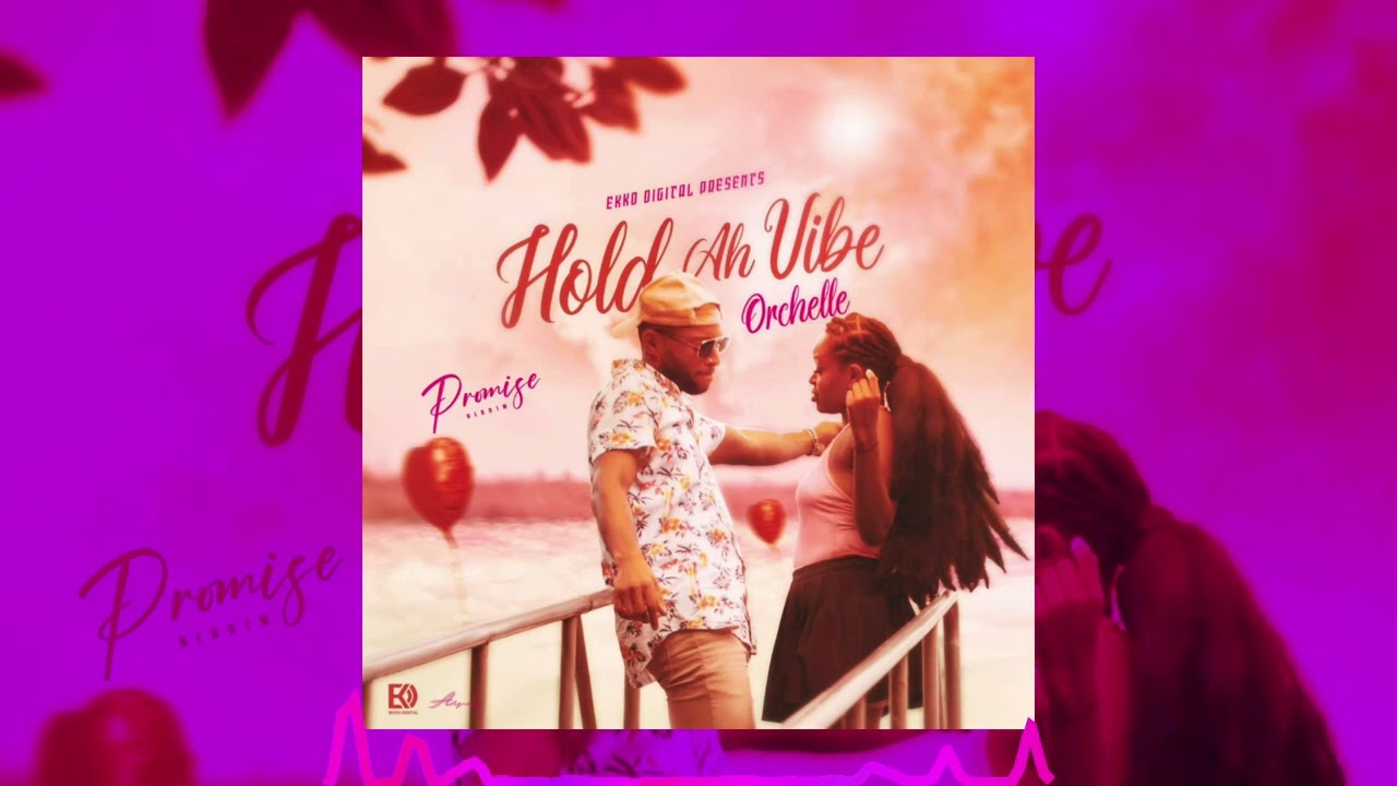 Orchelle - Hold Ah Vibe (Promise Riddim)