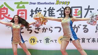 Brex Cheerleaders BREXY　美チア・パフォーマンス！　2026/6/6　オープニングアクト