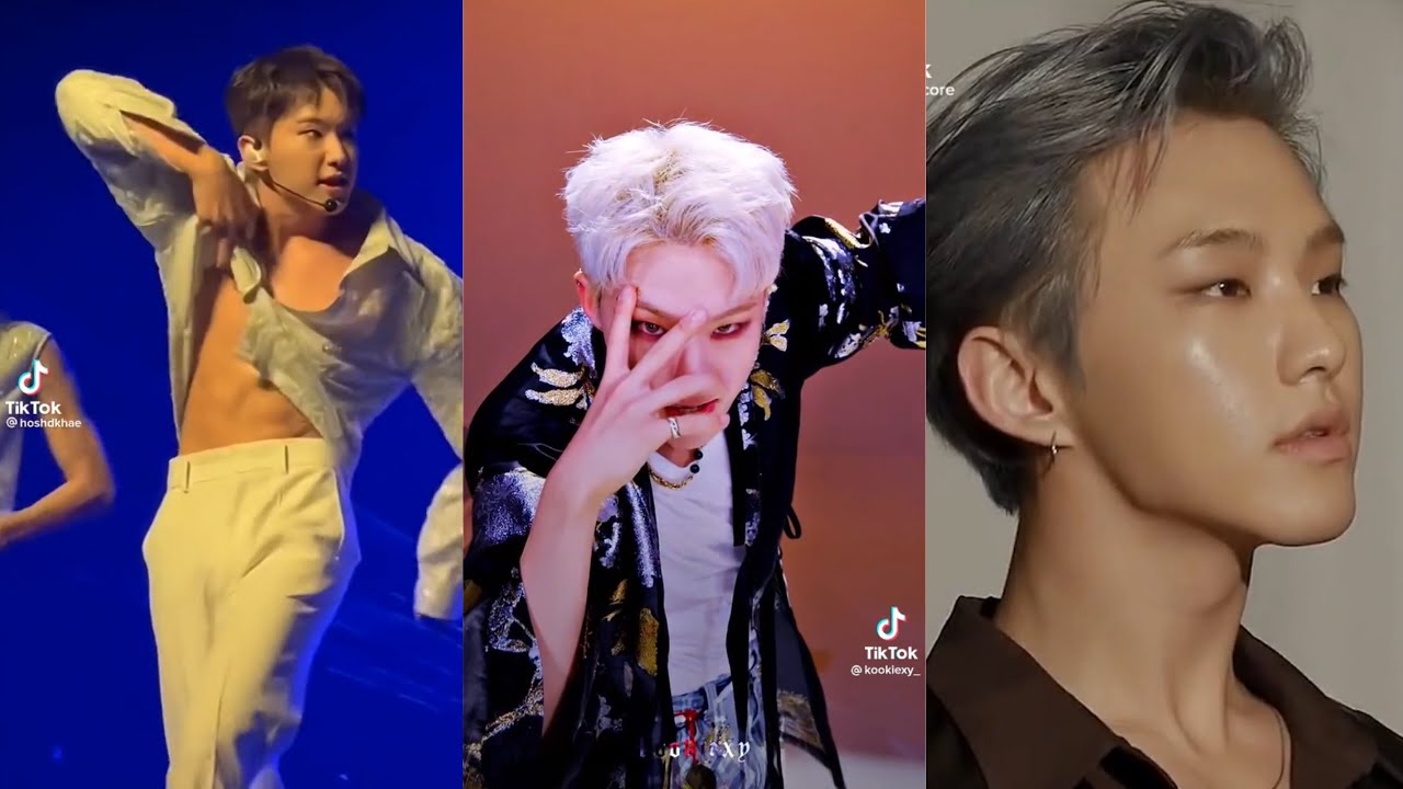 seventeen hoshi random tiktok edits that will surely make you a horangdan 😸 