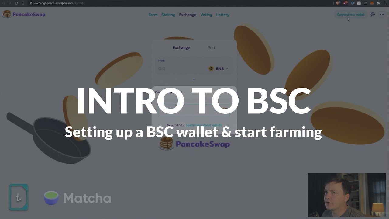 Binance Smart Chain: Metamask Wallet Setup & Farming Guide
