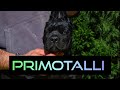 Introducing Primotalli our new Italian Import.