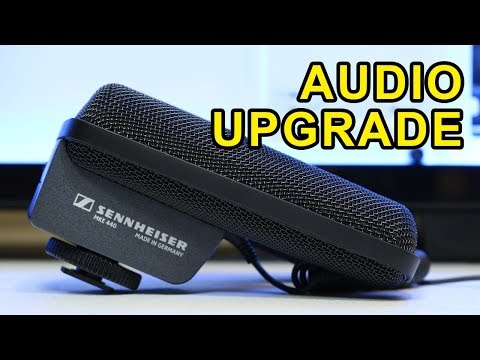 Sennheiser MKE 440 Overview and Sound Test