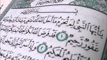 سورة التحريم كامله بصوت ادريس ابكر تلاوة هادئه جدا ( اصدار جديد )