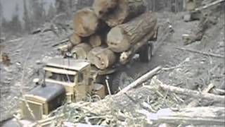 Old Logging footage, Part II