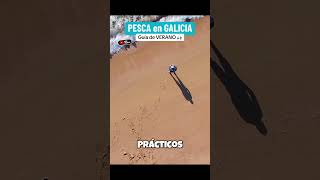 ¿Verano en Galicia? ☀️ ¡ Te enseño dónde y cómo PESCAR LUBINAS a SPINNING ! 🎣¡No te lo pierdas!