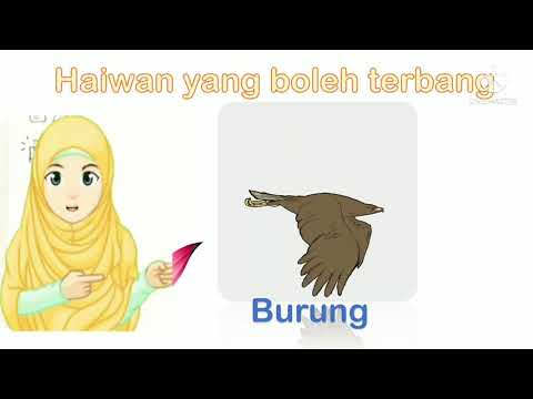 Psspi 6 Tahun Haiwan Yang Boleh Terbang Youtube