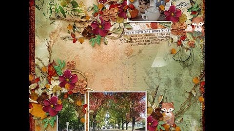 Scatters from Elements