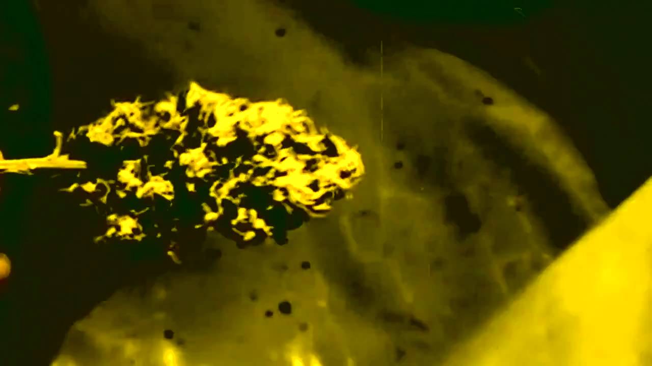 Big Shine "MARIJUANA GONNA BURN"