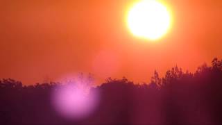 Famous Partial Solar Eclipse, Nov 3, 2013 Profile