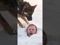 Buried Alive?! 😱 | K9 Avalanche Rescue