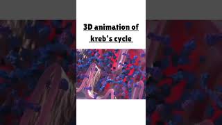#krebscycle #tcacycle #3danimation #energy #humanbody #educational #theprogressiveacademy1 #biology