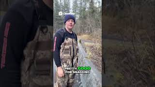 Sockeye Salmon Finally Hit Seward Alaska’s Fish Weir this is the beginning of the salmon run