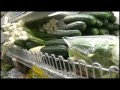 WOWT: Healthy Neighborhood Stores