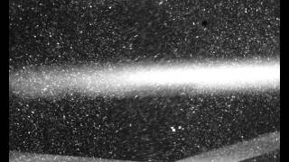 Particle saltation in a high tracer density flow
