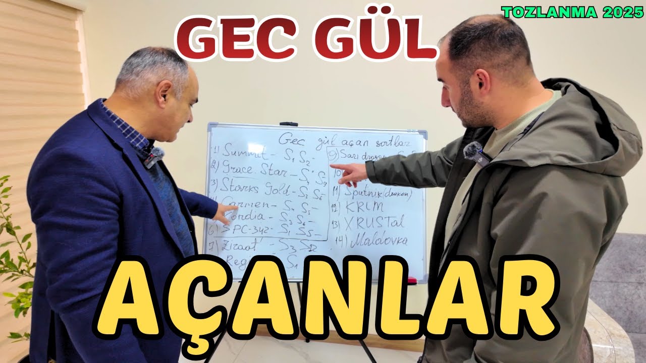 Gec Gül Açanlar. TOZLANMA 2025